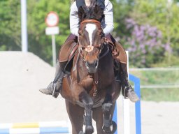 IMG_0668_web